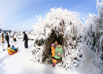 Icefish Festival1_re