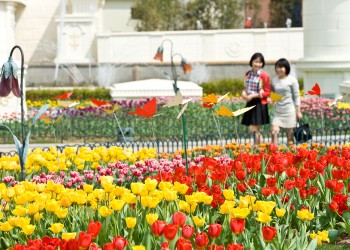 Everland15