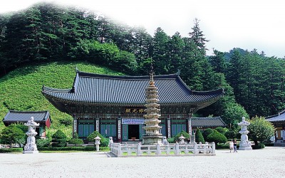 GANGWON6