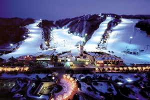 Daemyung Ski