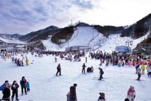 Elysian ski1