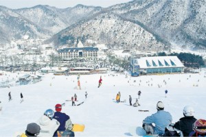 Jisan Forest Resort1