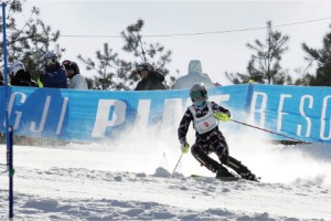 Yangji Pine Resort1