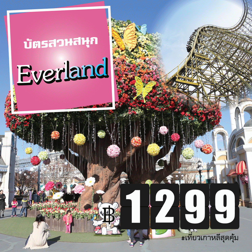 Everland-Ticket