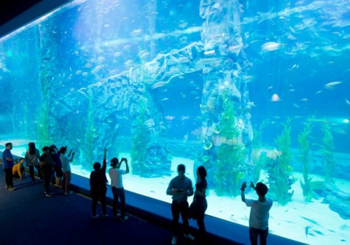 lotte world aquarium-2