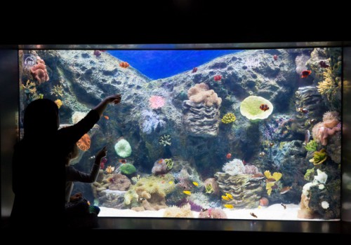 lotte world aquarium-6