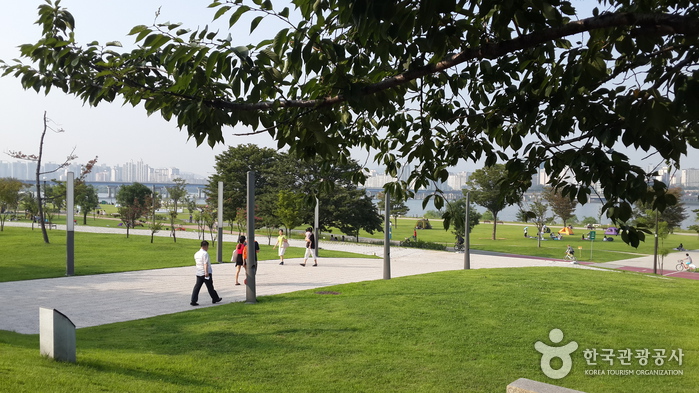 Yeouido Hangang Park-4