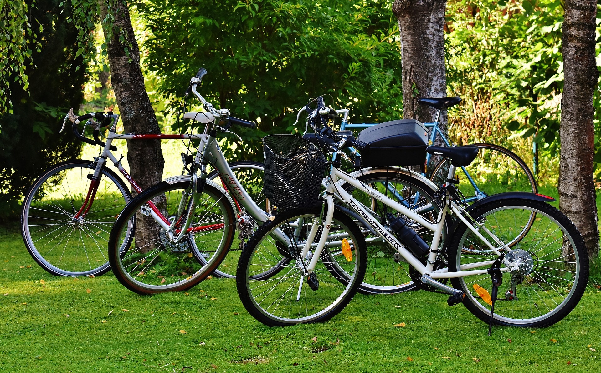 bicycles-1594008_1920