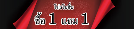 1+1free